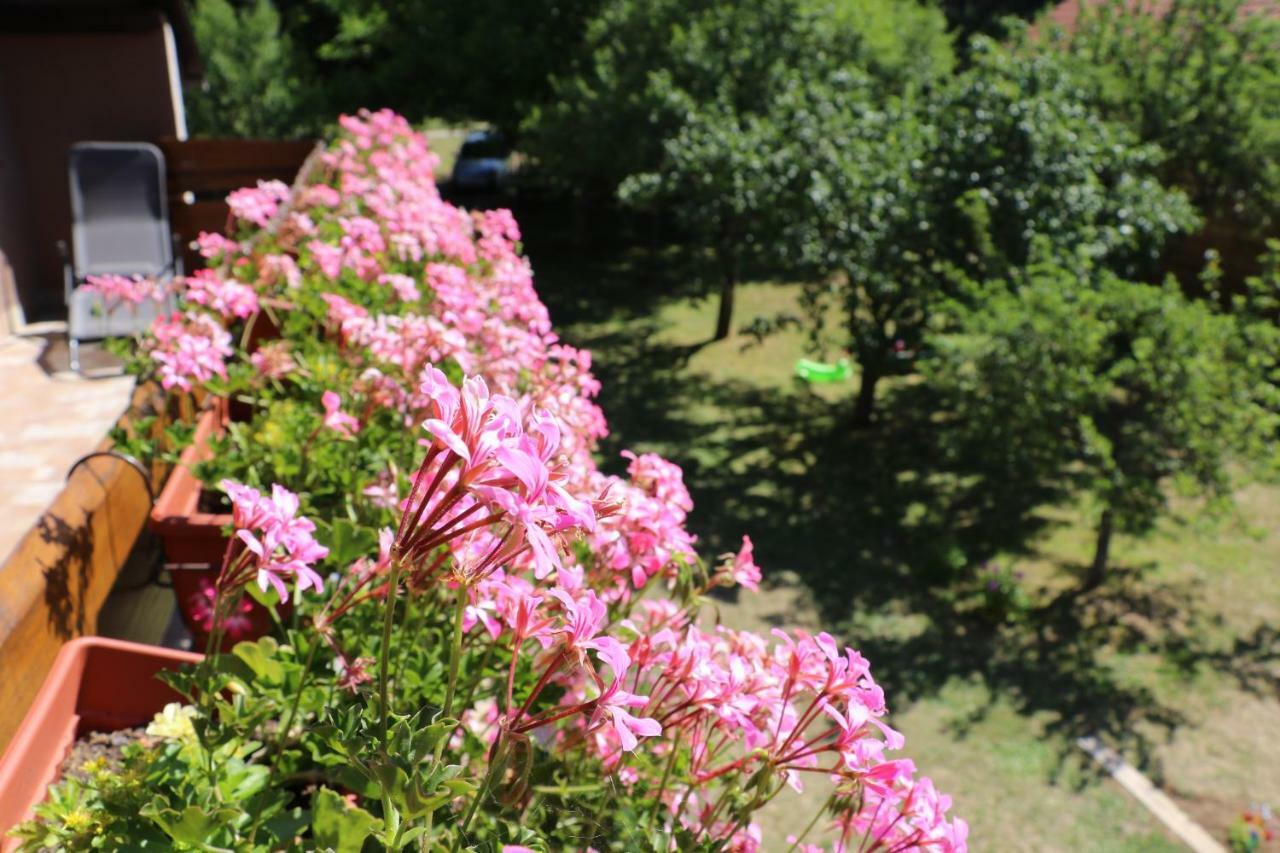 Holiday Home "Iris" Near Plitvice Lakes Rudanovac Extérieur photo